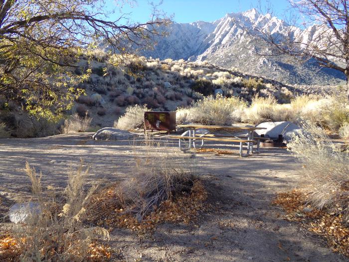 Lone Pine Campground site #37 featuring picnic area, food storage, and fire pit. 