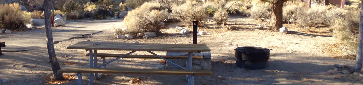 Lone Pine Campground site #38 featuring picnic area, fire pit, and camping space. 