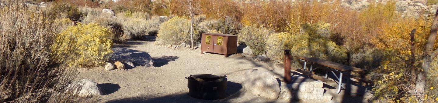 Lone Pine Campground site #40 featuring picnic area, food storage, and fire pit. 
