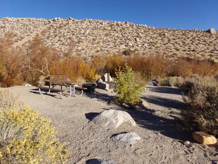 Lone Pine Campground site #41 featuring picnic area, food storage, and fire pit. 