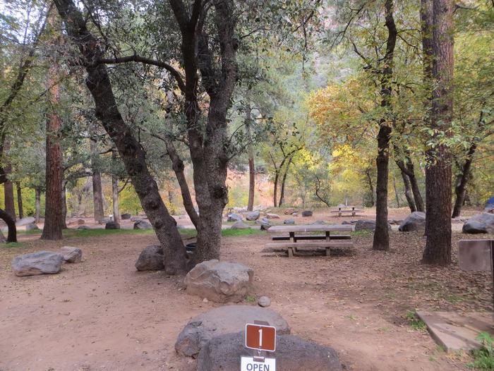 Manzanita Campground site #01 featuring the treed picnic area and fire pit.