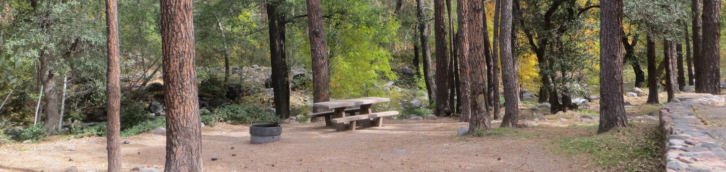 Manzanita Campground site #11 featuring the treed picnic area, camping space, and fire pit.