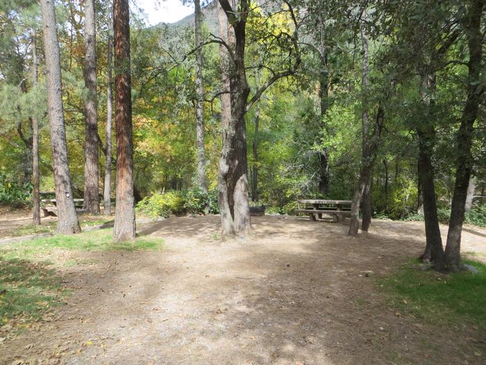 Manzanita Campground site #12 featuring the treed picnic area, camping space, and fire pit.