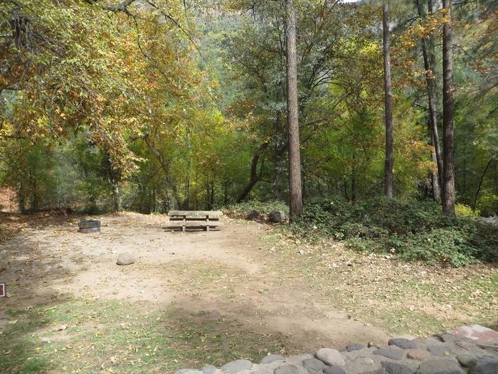 Manzanita Campground site #14 featuring the treed picnic area, camping space, and fire pit.