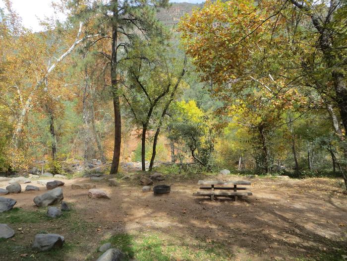 Manzanita Campground site #16 featuring the treed picnic area, camping space, and fire pit.