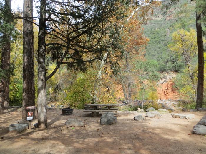 Manzanita Campground site #17 featuring the treed picnic area, camping space, and fire pit.