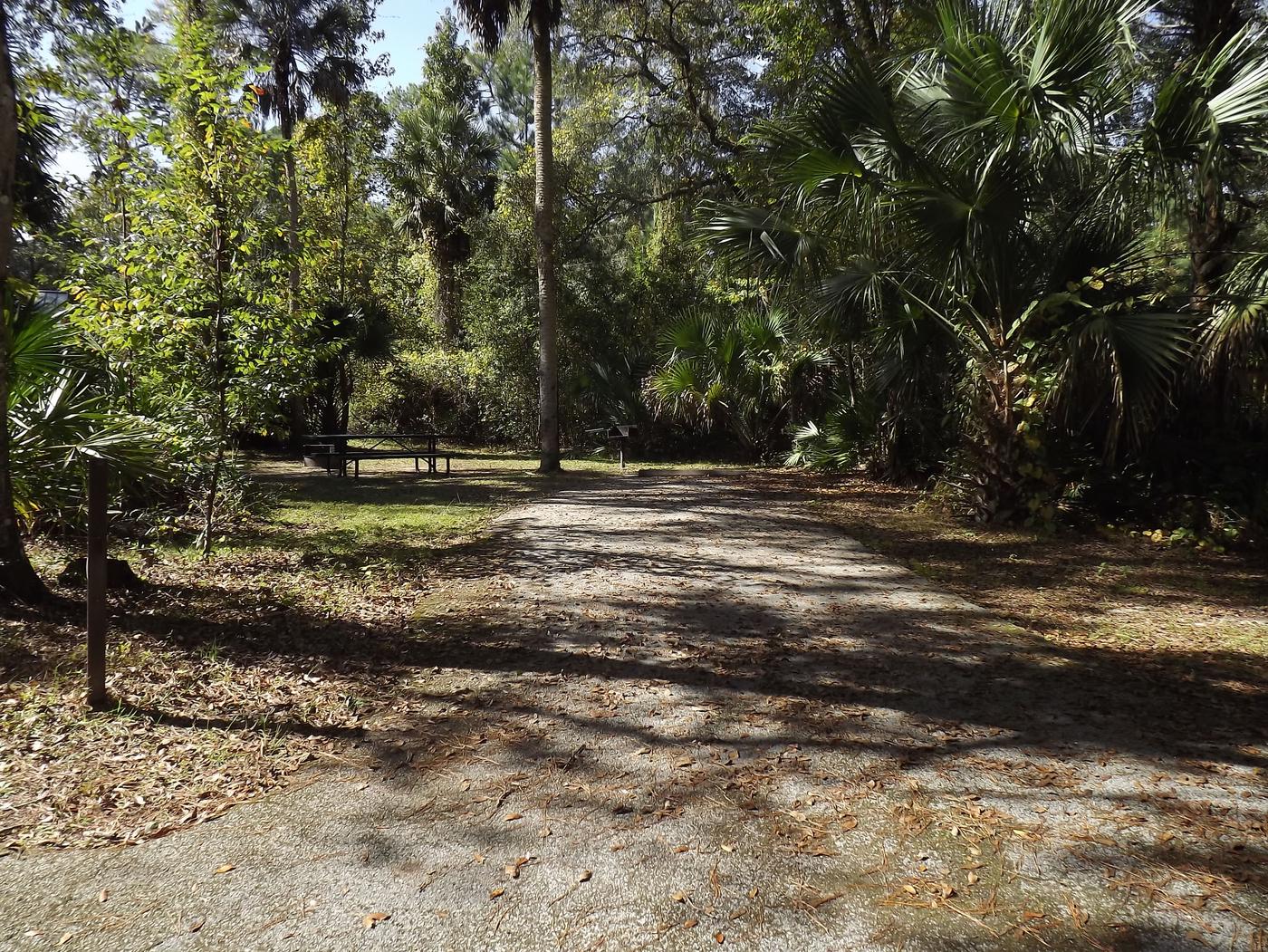 Site 010, Juniper Springs Rec Area - Recreation.gov