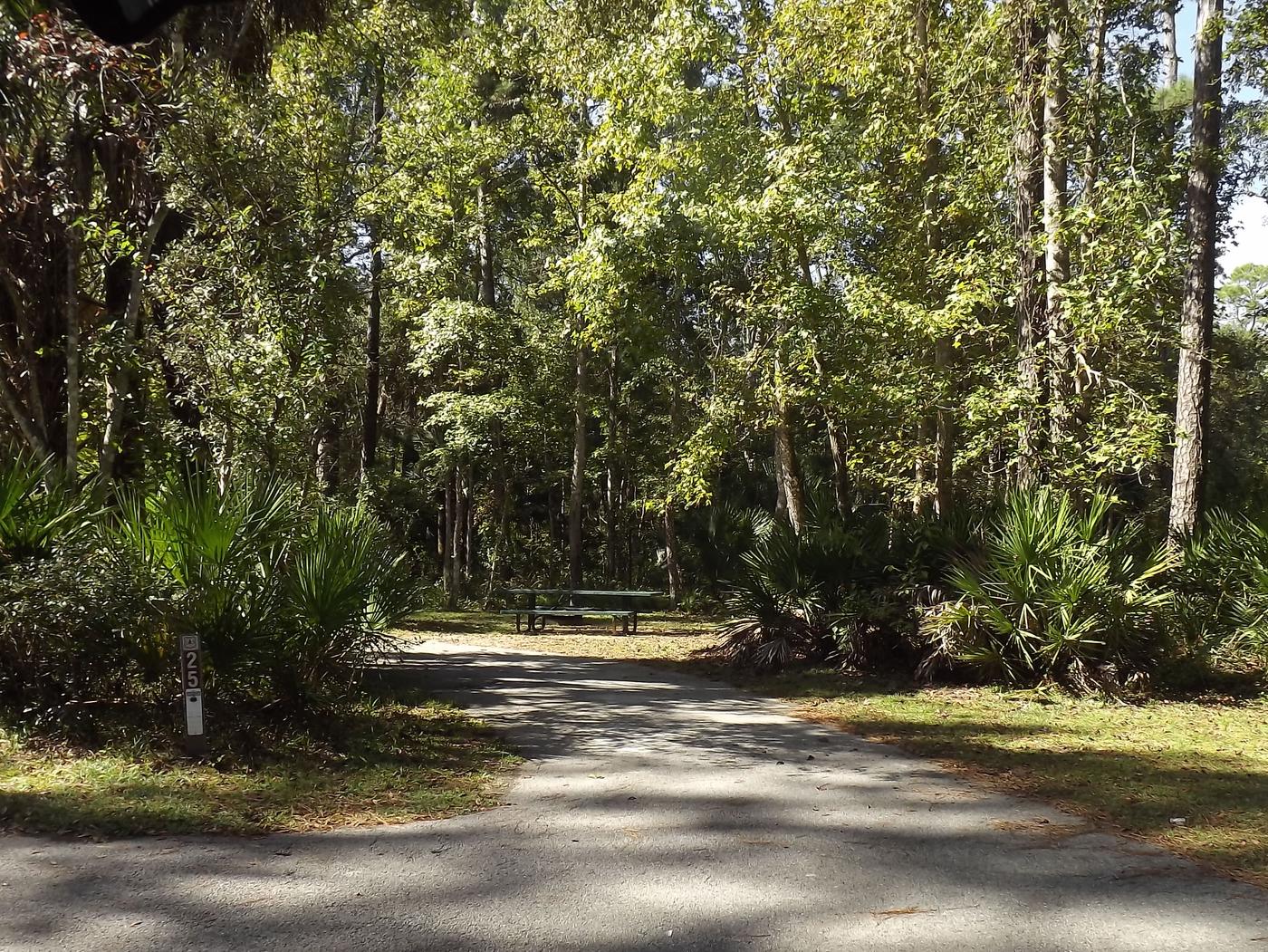 Site 025, Juniper Springs Rec Area - Recreation.gov