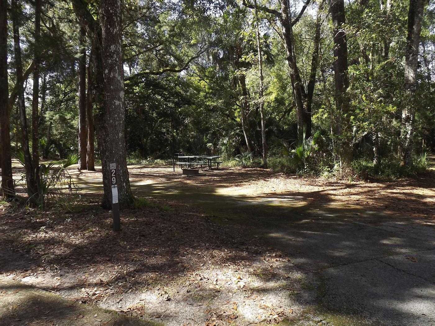 Site 029, Juniper Springs Rec Area - Recreation.gov