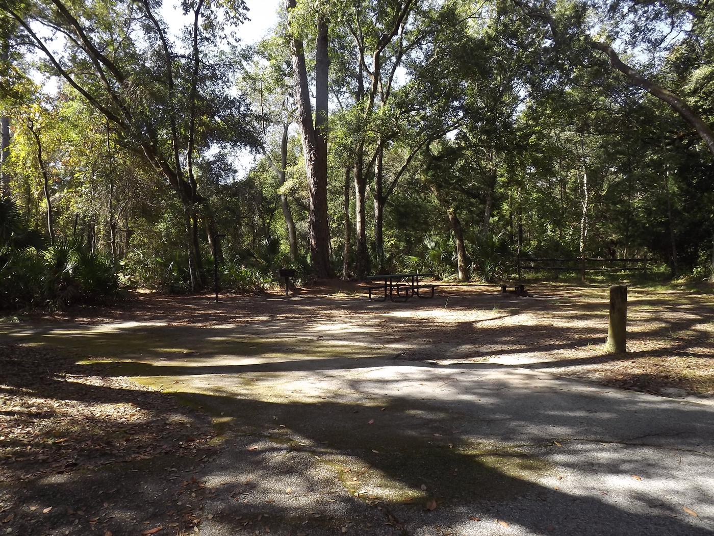 Site 031, Juniper Springs Rec Area - Recreation.gov