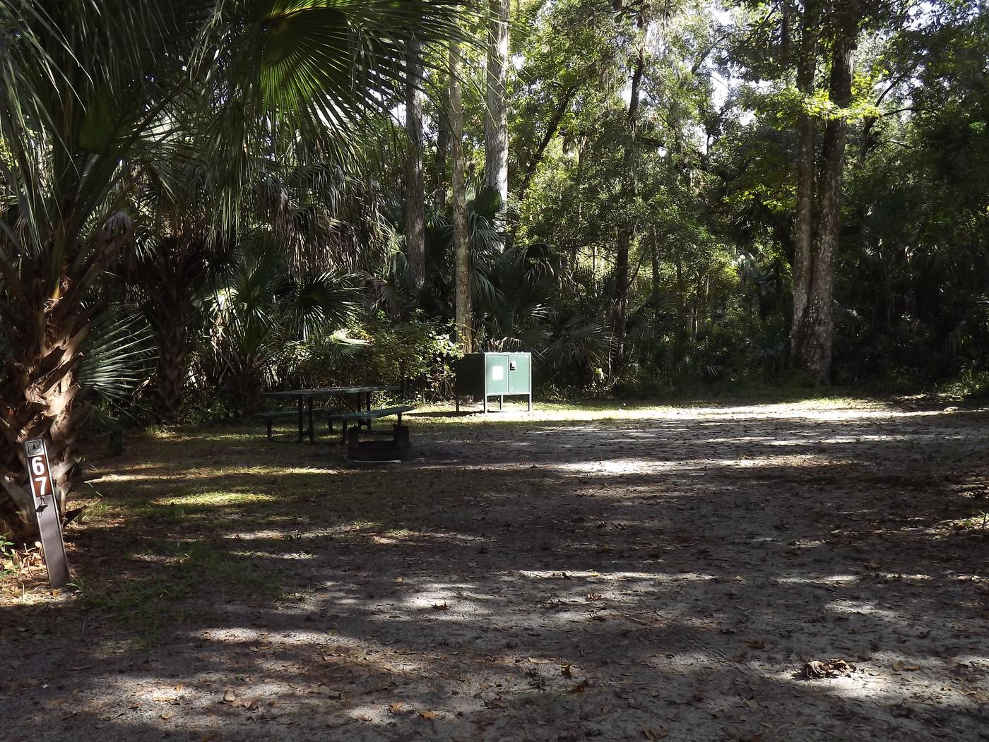 Site 067, Juniper Springs Rec Area - Recreation.gov