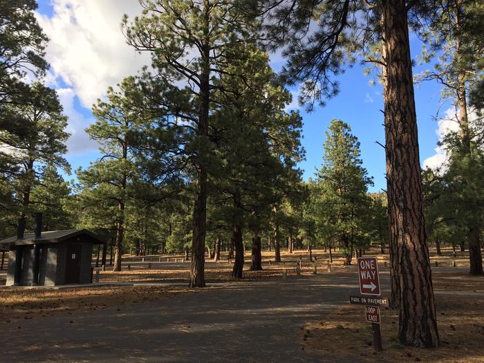 O'Leary Group Campground Site 1 parking space, restroom, and camping view among the tall pines