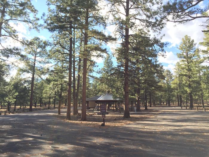 O'Leary Group Campground Group Site #03 ramada picnic area and camping view among the tall pines