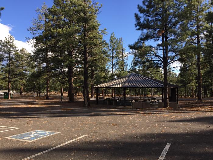 O'Leary Group Campground Site #03 ramada, parking, and camping view among the tall pines