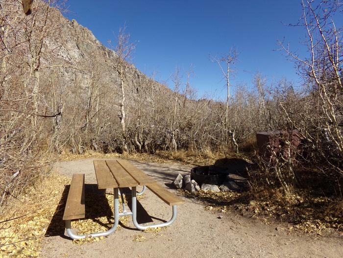 Onion Valley Campground site #02 featuring picnic table, food storage, and fire pit.