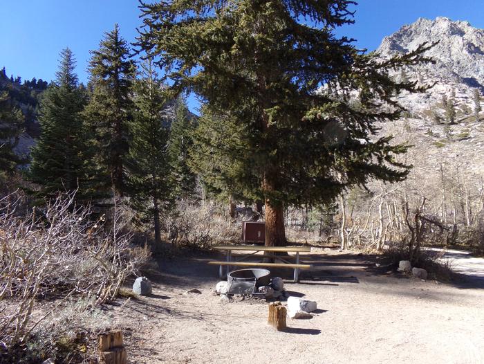 Onion Valley Campground site #03 featuring picnic table, food storage, and fire pit.