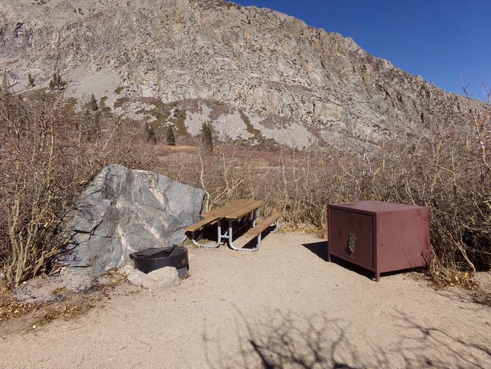 Onion Valley Campground site #04 featuring picnic table, food storage, and fire pit.