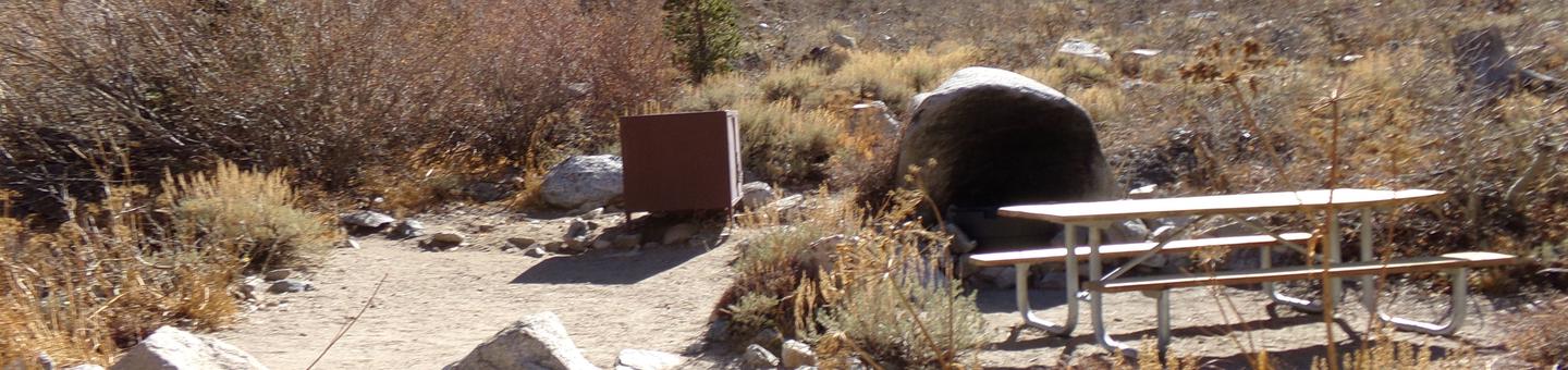 Onion Valley Campground site #08 featuring picnic table, food storage, and fire pit.