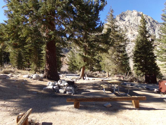 Onion Valley Campground site #11 featuring picnic table, food storage, and fire pit.
