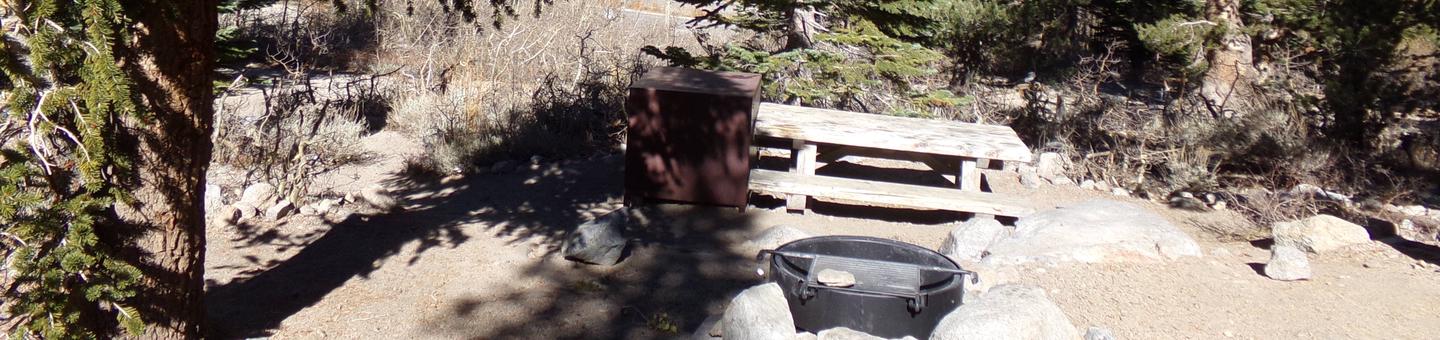 Onion Valley Campground site #15 featuring picnic table, food storage, and fire pit.