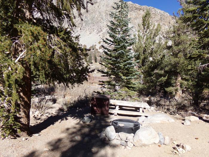 Onion Valley Campground site #15 featuring picnic table, food storage, and fire pit.