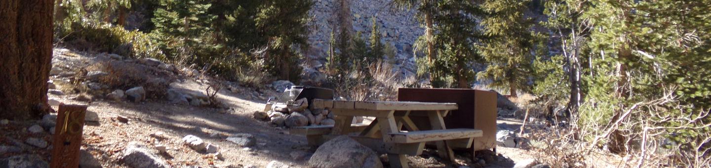 Onion Valley Campground site #18 featuring picnic table, food storage, and fire pit.