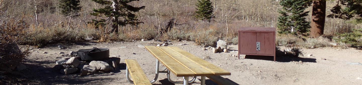 Onion Valley Campground site #20 featuring picnic table, food storage, and fire pit.