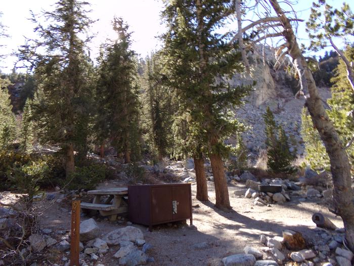 Onion Valley Campground site #19 featuring picnic table, food storage, and fire pit.