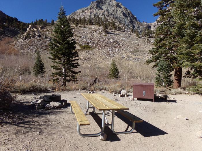 Onion Valley Campground site #20 featuring picnic table, food storage, and fire pit.