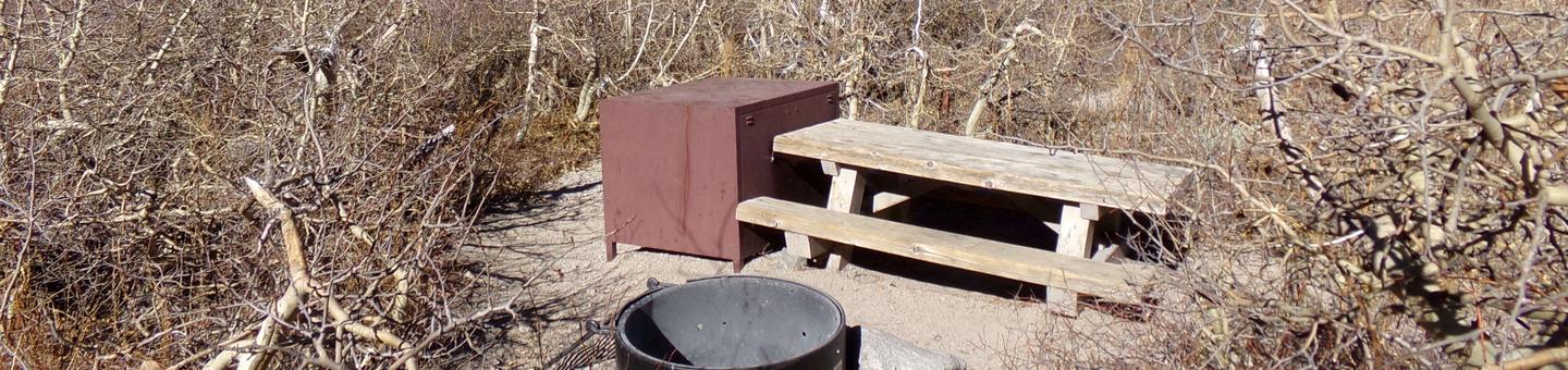 Onion Valley Campground site #24 featuring picnic table, food storage, and fire pit.