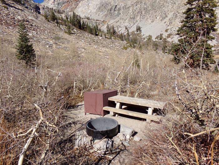 Onion Valley Campground site #24 featuring picnic table, food storage, and fire pit.