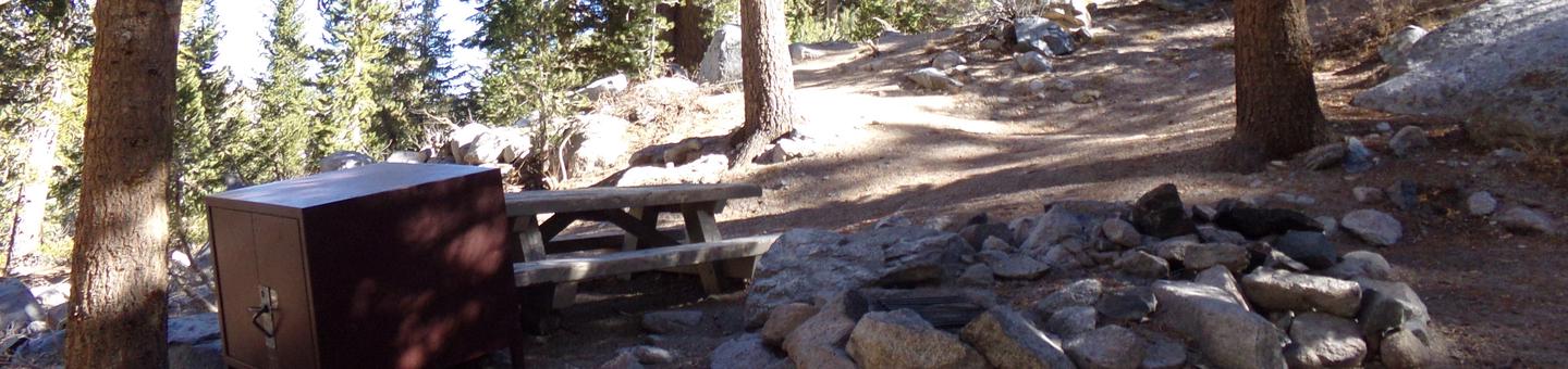 Onion Valley Campground site #25 featuring picnic table, food storage, and fire pit.