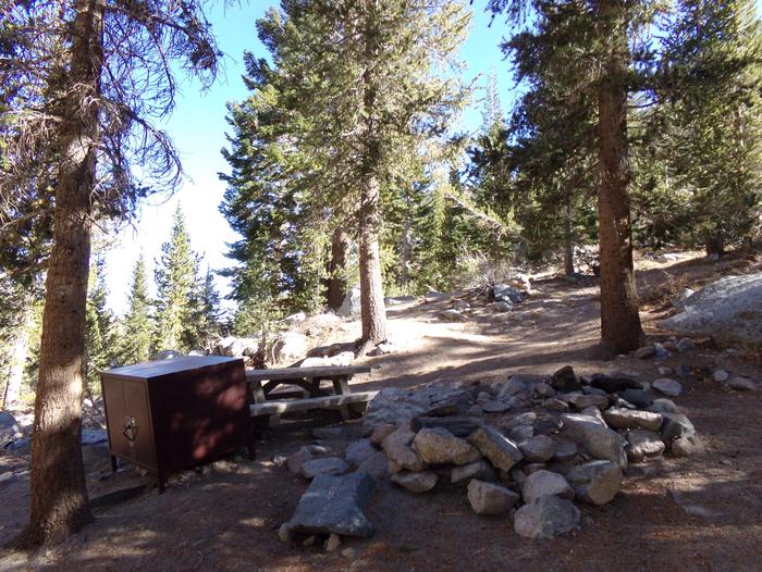 Onion Valley Campground site #25 featuring picnic table, food storage, and fire pit.