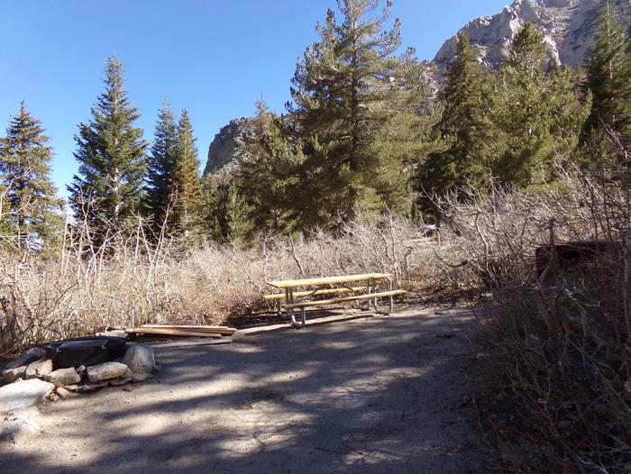 Onion Valley Campground site #27 featuring picnic table, food storage, and fire pit.