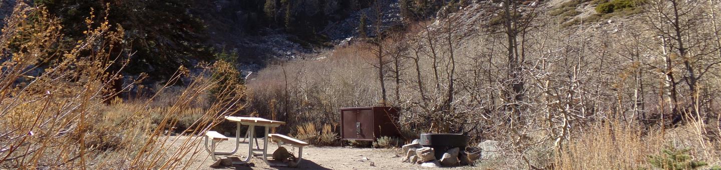 Onion Valley Campground site #29 featuring picnic table, food storage, and fire pit.