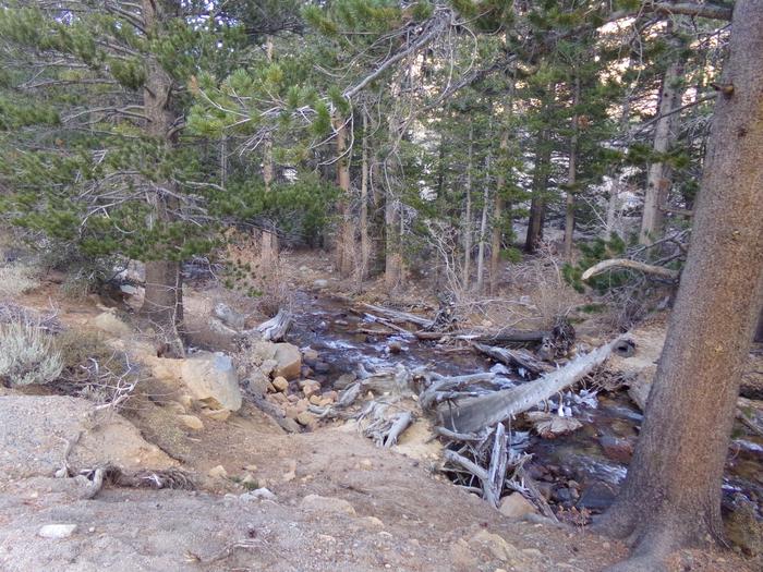 View of the creek that runs by Palisades Group Campground. 