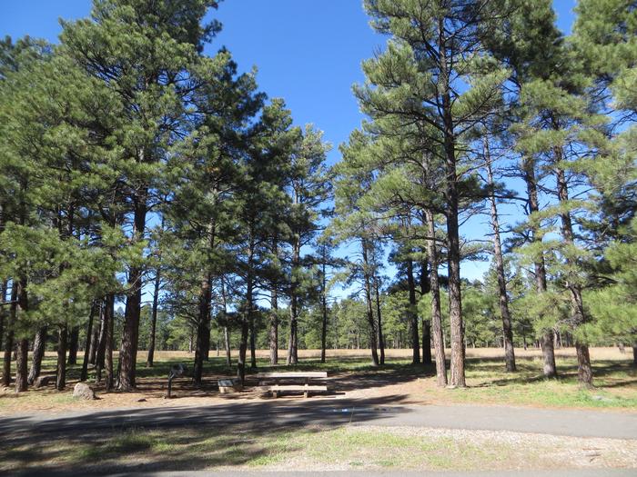 Pinegrove Campground site #16 featuring large parking space, picnic area, and camping space among the trees. 