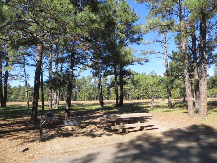 Pinegrove Campground site #16 featuring picnic area among the trees. 