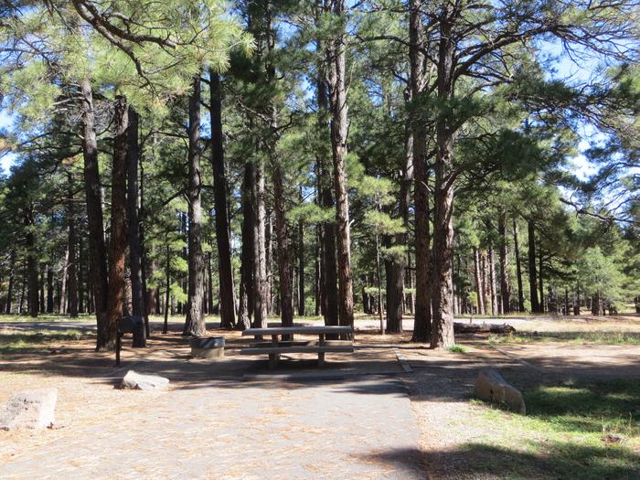 Pinegrove Campground site #17 featuring the wooded camping and picnic area. 