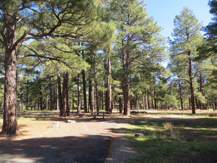 Pinegrove Campground site #17 featuring the partially shaded camping and picnic area. 
