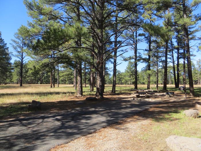 Pinegrove Campground site #18 featuring the wooded camping and picnic area. 