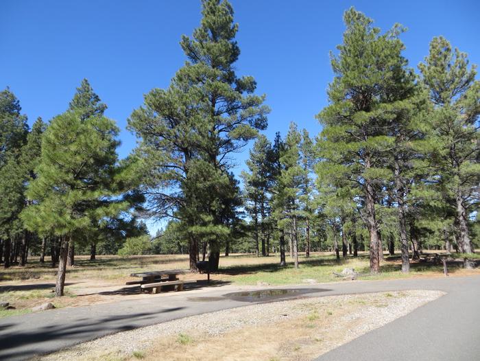 Pinegrove Campground site #19 featuring parking space and the wooded camping and picnic area. 