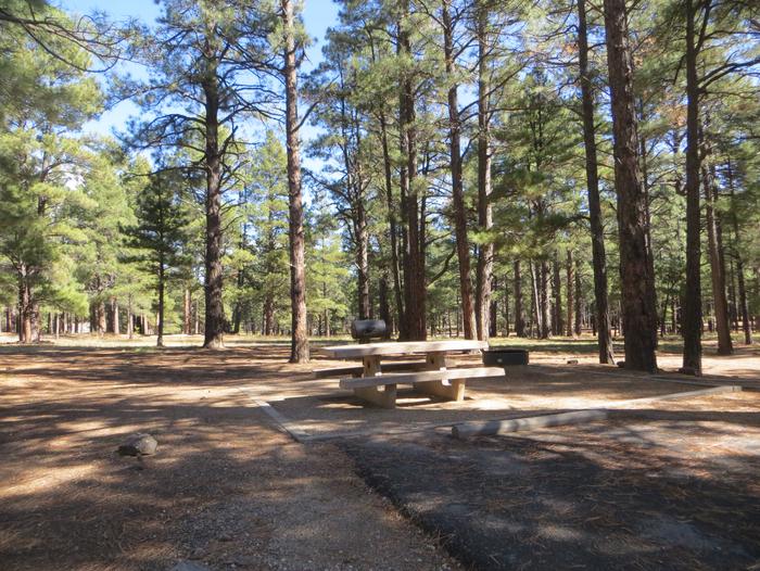 Pinegrove Campground site #21 featuring the wooded camping and picnic area. 