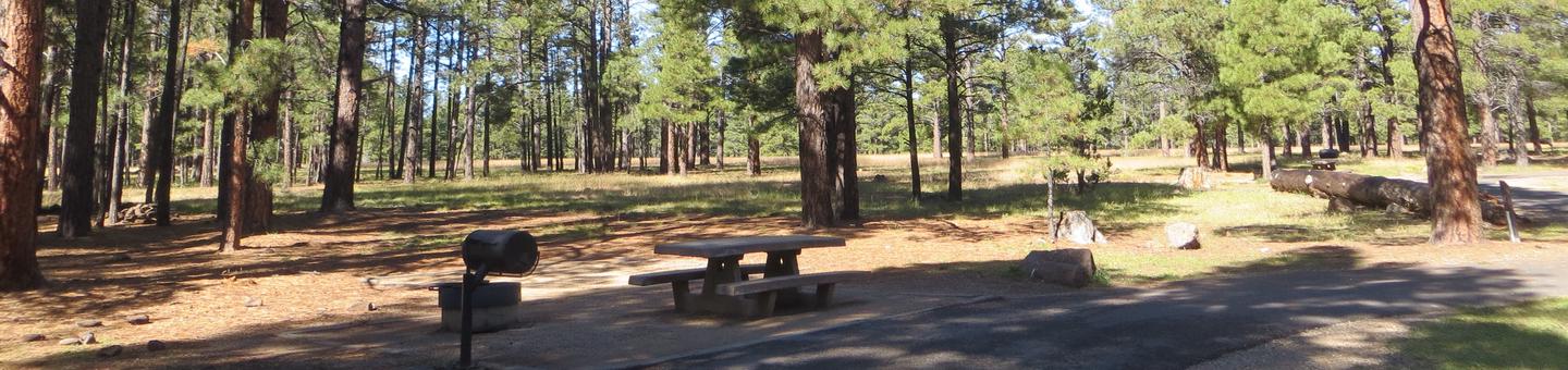 Pinegrove Campground site #22 featuring the parking space and the wooded camping and picnic area. 