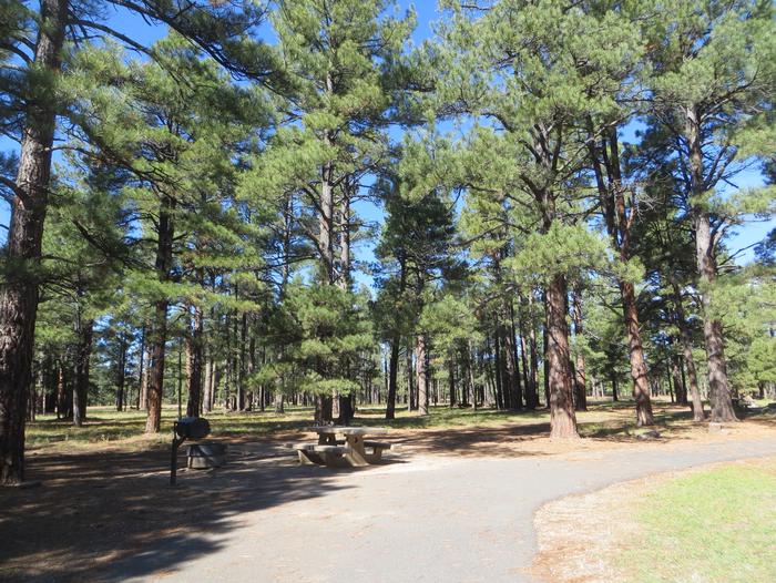 Pinegrove Campground site #23 featuring the parking space and the wooded camping and picnic area. 