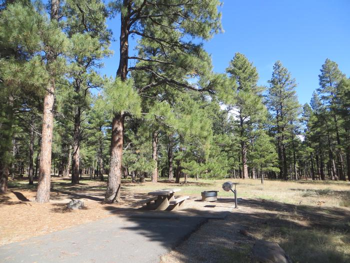 Pinegrove Campground site #24 featuring the parking space and the wooded camping and picnic area. 