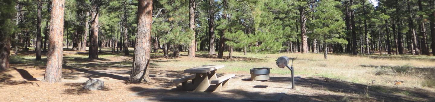 Pinegrove Campground site #24 featuring the parking space and the wooded camping and picnic area. 