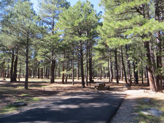 Pinegrove Campground site #25 featuring the parking space and the wooded camping and picnic area. 
