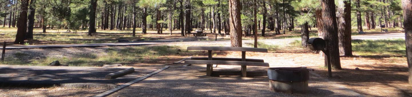 Pinegrove Campground site #26 featuring the wooded camping and picnic area. 
