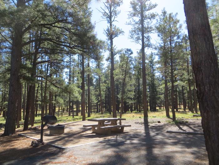 Pinegrove Campground site #30 featuring the wooded camping and picnic area. 